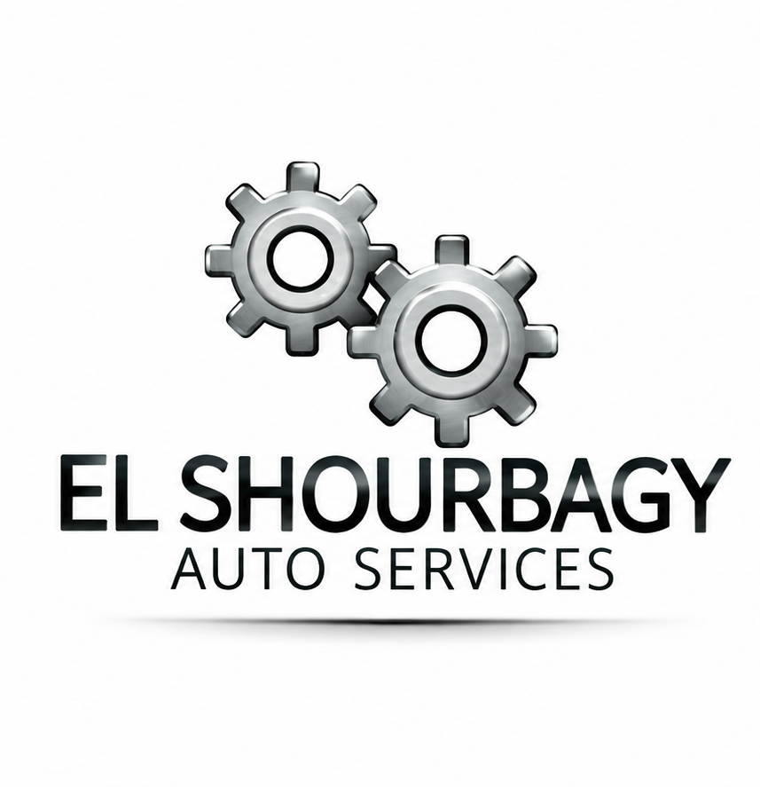EL SHOURBAGY